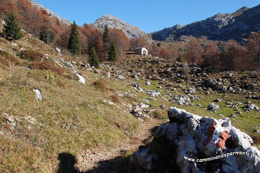 09 13054 Sullo sfondo Monte Alben la Croce.jpg